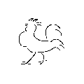 Rooster